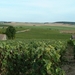 DSCF0168