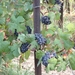 DSCF0180