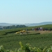 DSCF0188