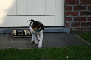 rayka 16 sept (34)