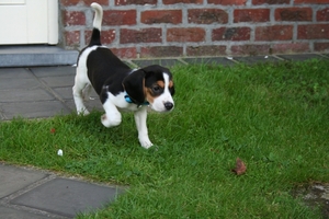 rayka 16 sept (39)
