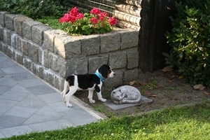 rayka 16 sept (52)