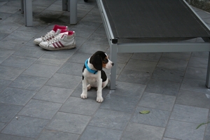 rayka 16 sept (8)