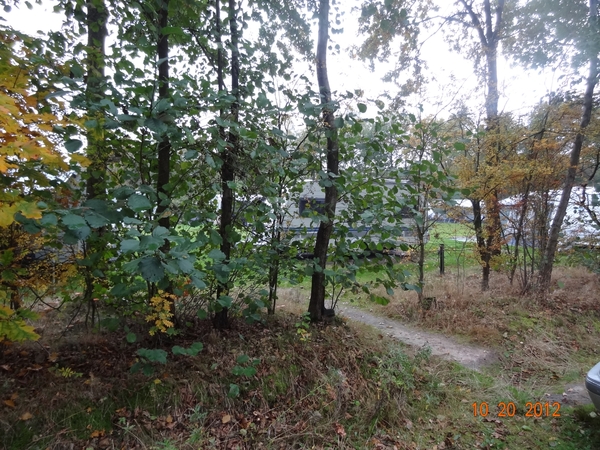 DSC03141