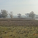 DSC03158