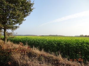 DSC03161
