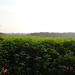 DSC03163