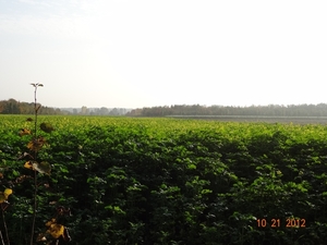 DSC03163