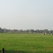 DSC03164