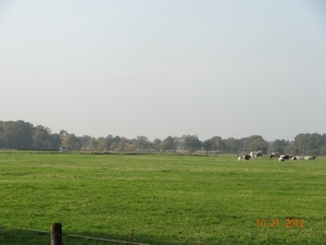 DSC03164