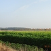 DSC03166