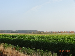 DSC03166