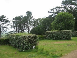 2012 ZOMER FRANKRIJK DEEL 2 079 (1024x768)