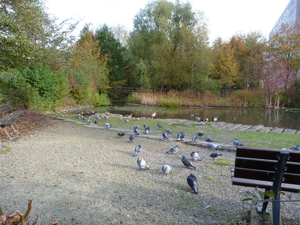 010-Park in Jette