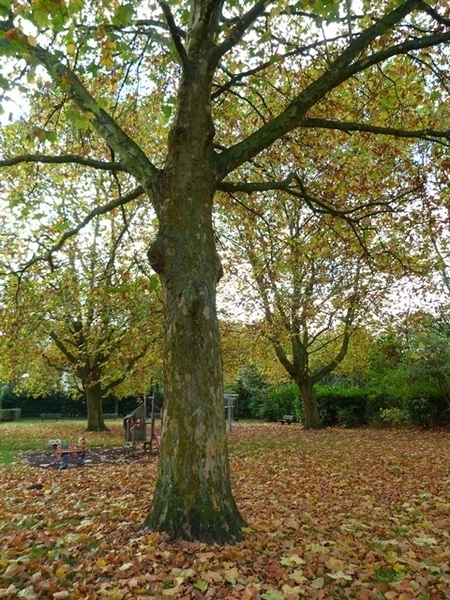 013-Jectaplein-Jette