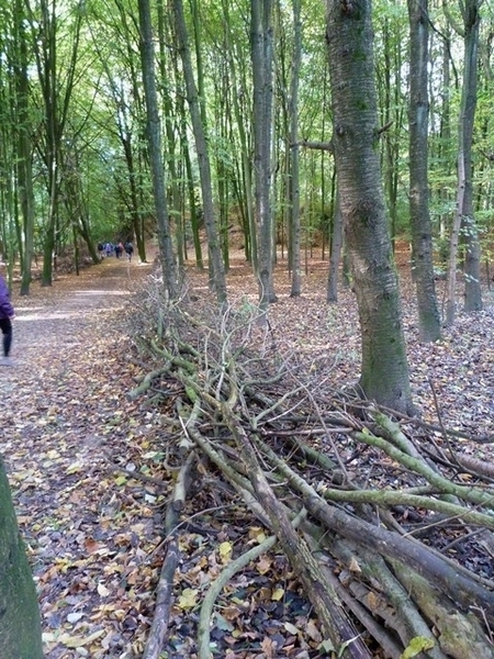 017-Dielegembos-Jette