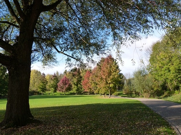 051-Mooie herfstkleuren in Boudewijnpark-Jette