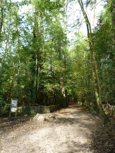 063-Laarbeekbos-Ganshoren