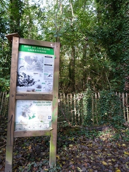 064-Laarbeekbos