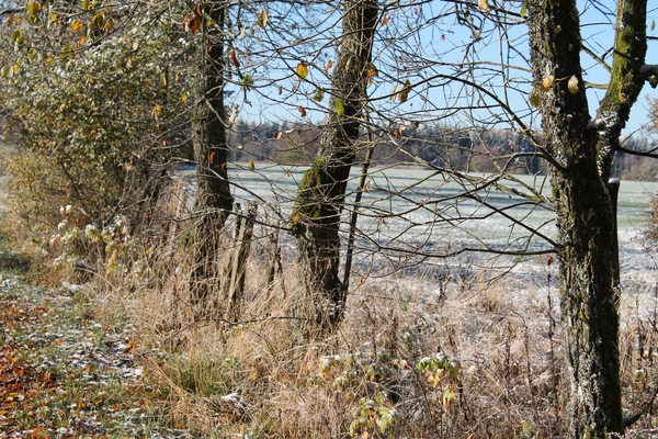 Weekend '59 Wirtzfeld 2012 040