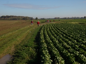 2012-10-27 KKT Waals Brabant 012