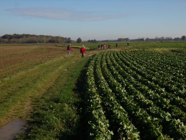 2012-10-27 KKT Waals Brabant 012