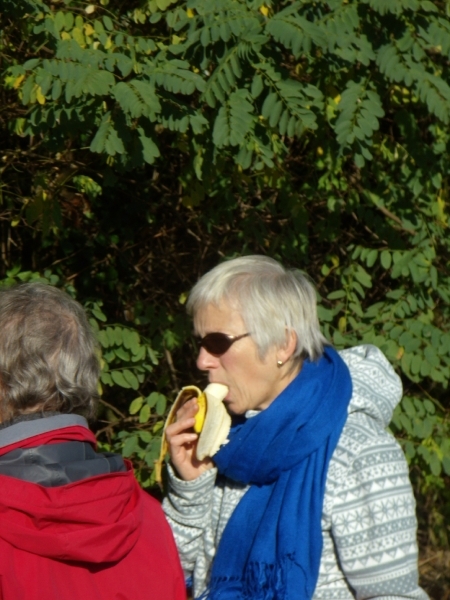 2012-10-27 KKT Waals Brabant 013