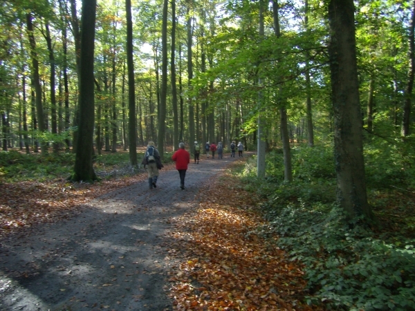 2012-10-27 KKT Waals Brabant 014