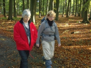 2012-10-27 KKT Waals Brabant 016