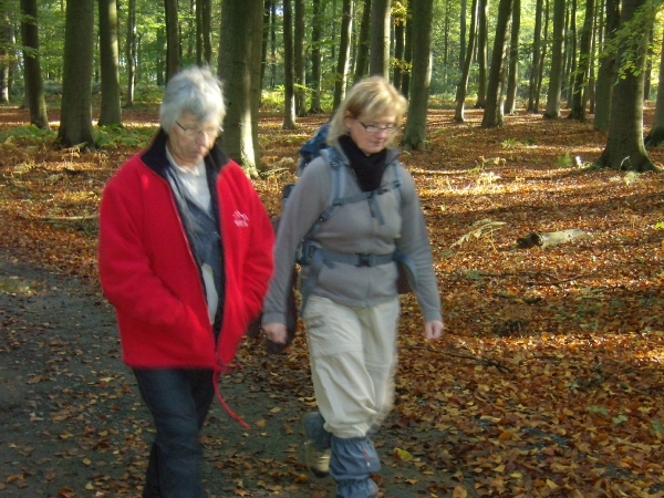 2012-10-27 KKT Waals Brabant 016