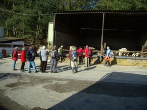 2012-10-27 KKT Waals Brabant 036