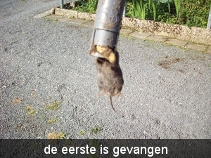 100_2114