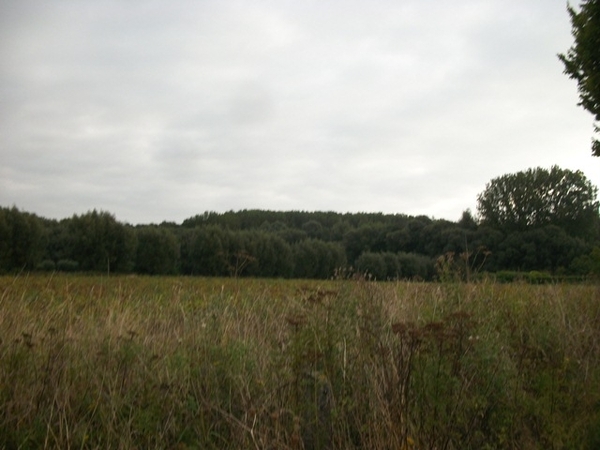 005-Richting Liedekerkebos