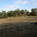 IMG_0080