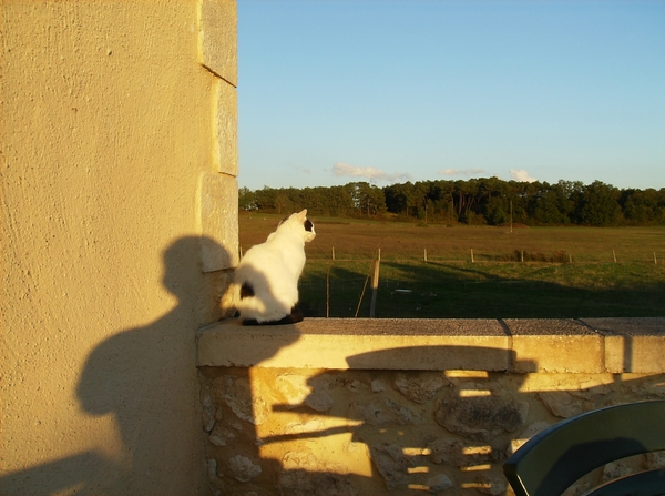 Dordogne Oktober 2012 032