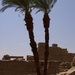 Egypte_2008_CD (177)