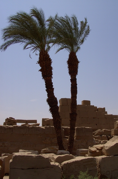 Egypte_2008_CD (177)