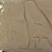 Egypte_2008_CD (182)