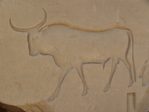 Egypte_2008_CD (183)