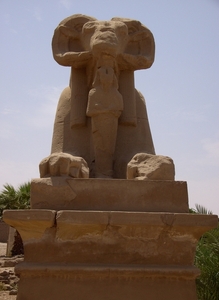 Egypte_2008_CD (194)