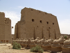 Egypte_2008_CD (195)