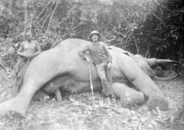CHASSE ELEPHANT Lubunda 1926