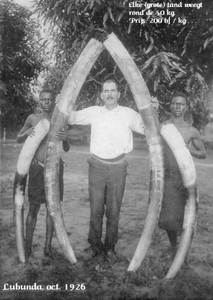 CHASSE ELEPHANT Lubunda 1926