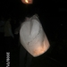 BILD1104