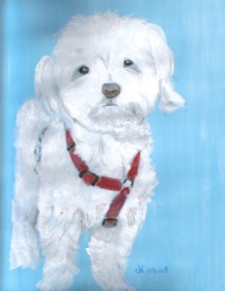 Dolly2