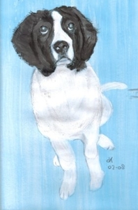 Myrtsa