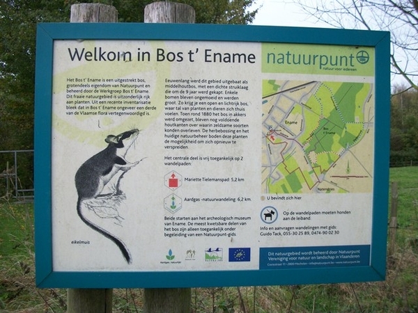 021-Langs natuurgebied-Bos Ename