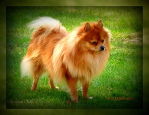 Baily is my name