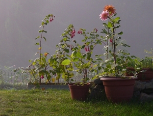 puur natuur