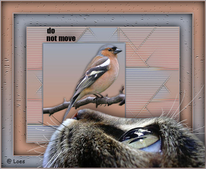 Do not move